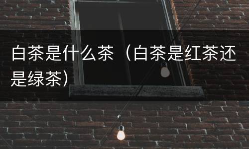 白茶是什么茶（白茶是红茶还是绿茶）