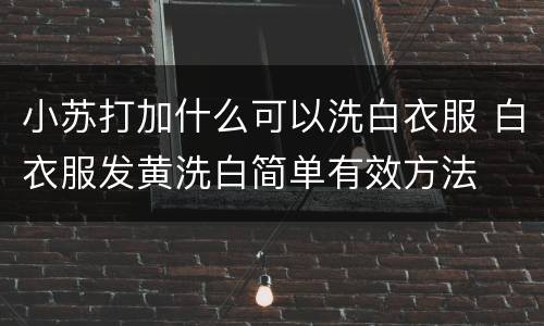 小苏打加什么可以洗白衣服 白衣服发黄洗白简单有效方法