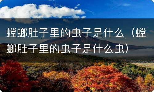 螳螂肚子里的虫子是什么（螳螂肚子里的虫子是什么虫）