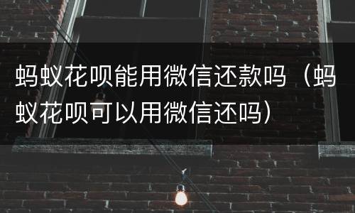 蚂蚁花呗能用微信还款吗（蚂蚁花呗可以用微信还吗）