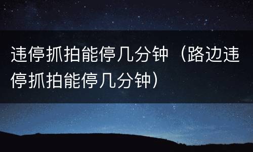 违停抓拍能停几分钟（路边违停抓拍能停几分钟）